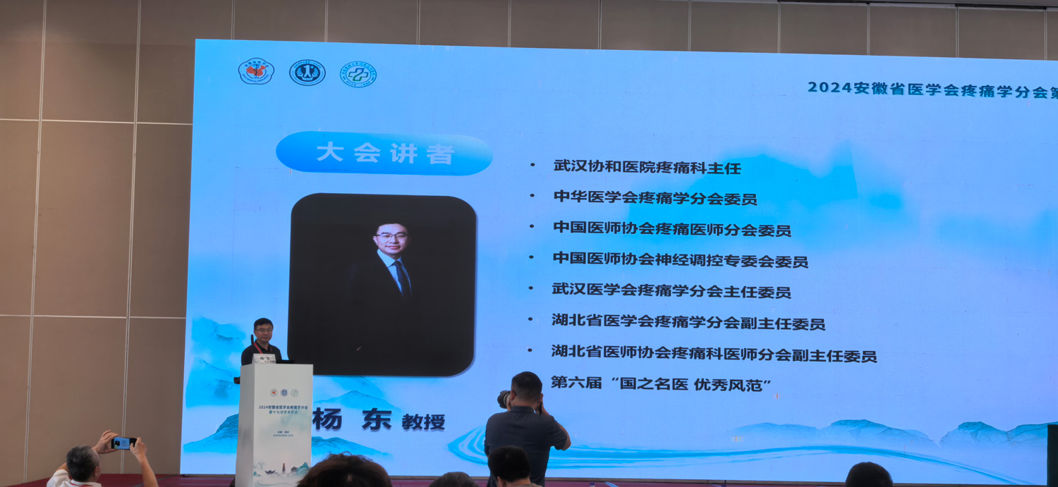 2024安徽疼痛会2